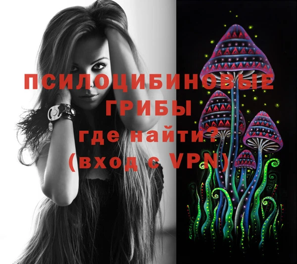 МДПВ Семёнов