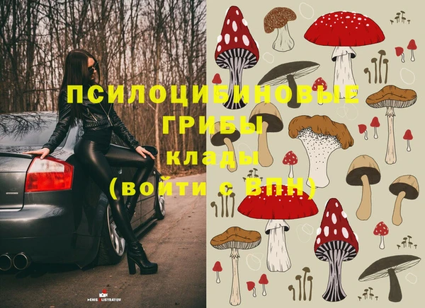 МДПВ Семёнов
