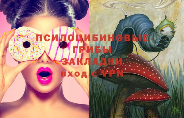МДПВ Семёнов