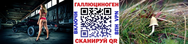 маркетплейс как зайти  Красавино  Галлюциногенные грибы ЛСД 